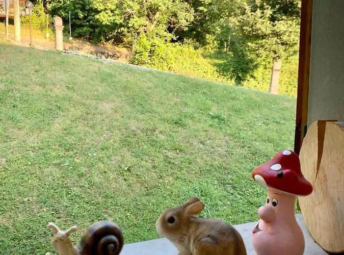 Apartament Casa Gael *